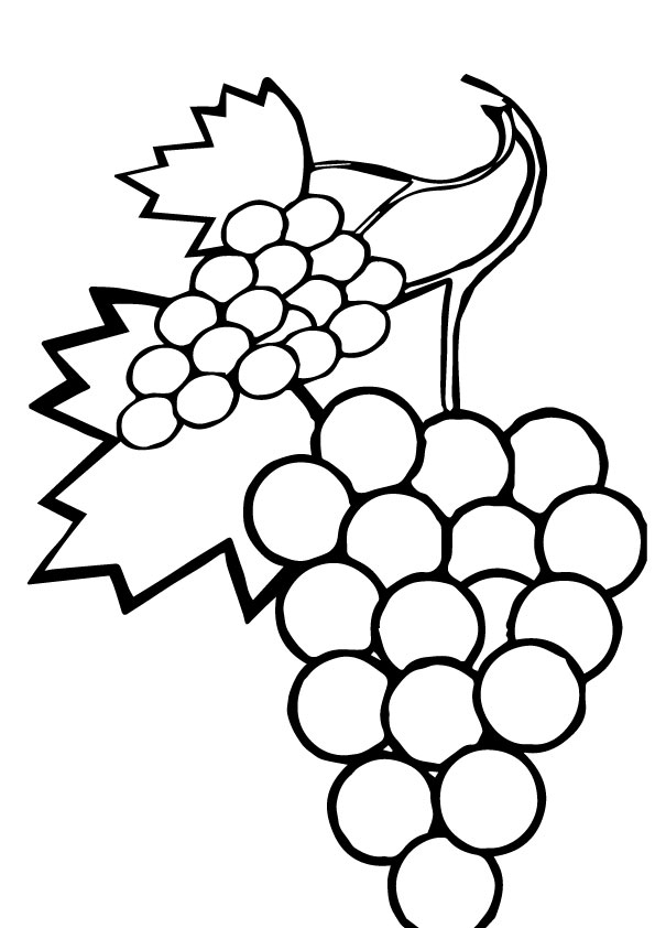 Plansa de colorat cu Fructe 241 27